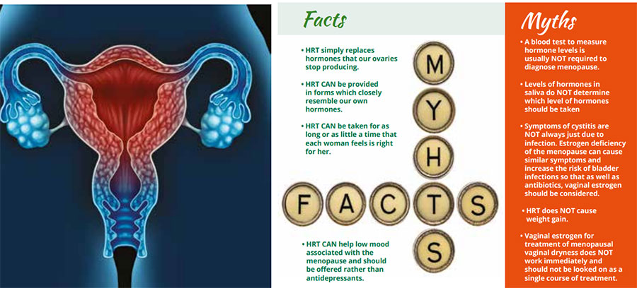 womb facts and myths